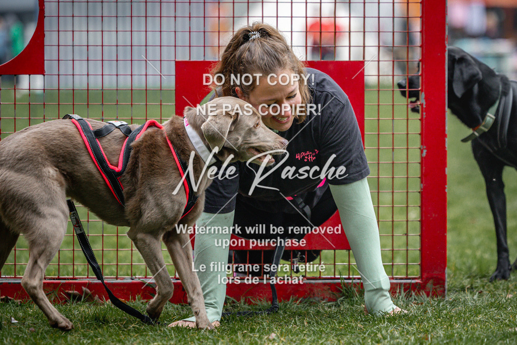 nelerasche_Hulsbeek_Sa0845-1030_33 | nelerasche
