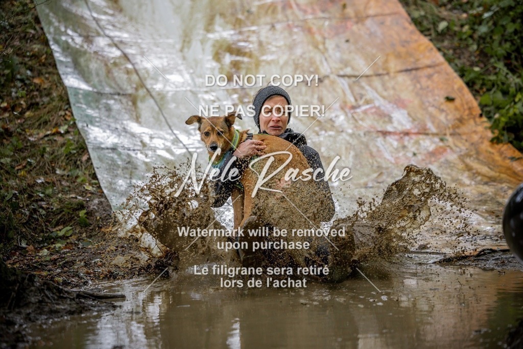 nelerasche_Hunsrück_Sa1430-1500_291-final | nelerasche