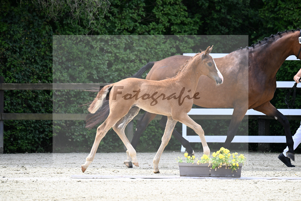 Kat-Nr. 3 Bon Esprit x Zackerey_Riederer_25240158 | hf-fotografie - Realisiert mit Pictrs.com