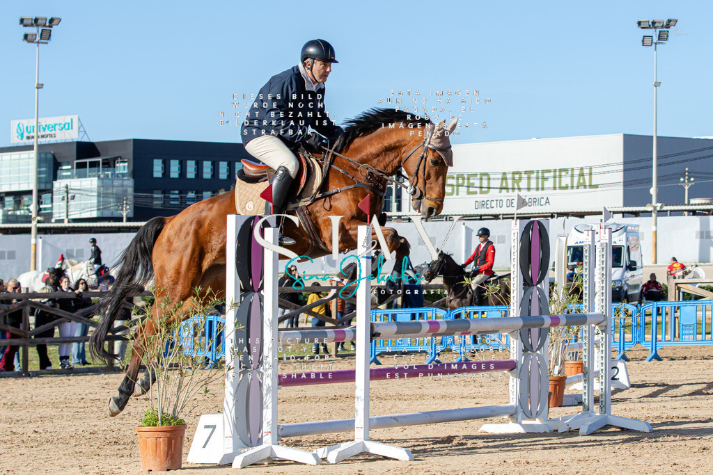 IMG_4475 | s-jay-photography - Realisiert mit Pictrs.com