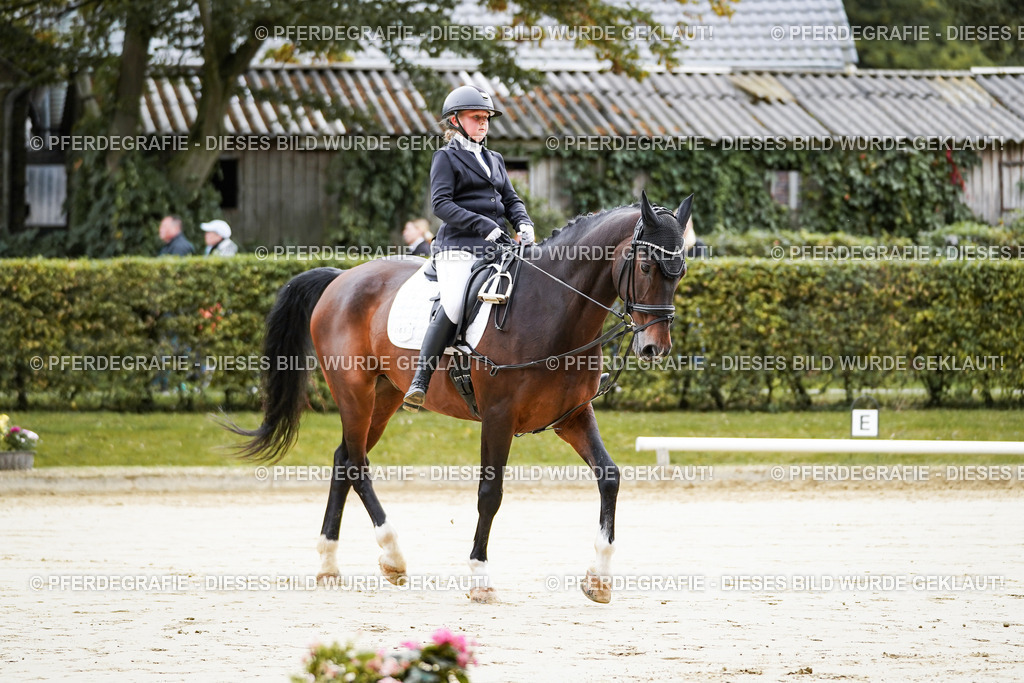 DSC04596 | Pferdegrafie