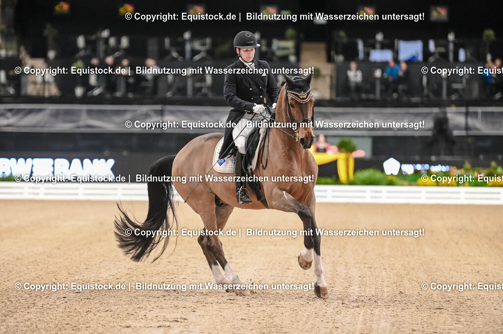 20251112_Dressur_iWest_TOMSPIC_00800080 | Foto: Thomas Hartig