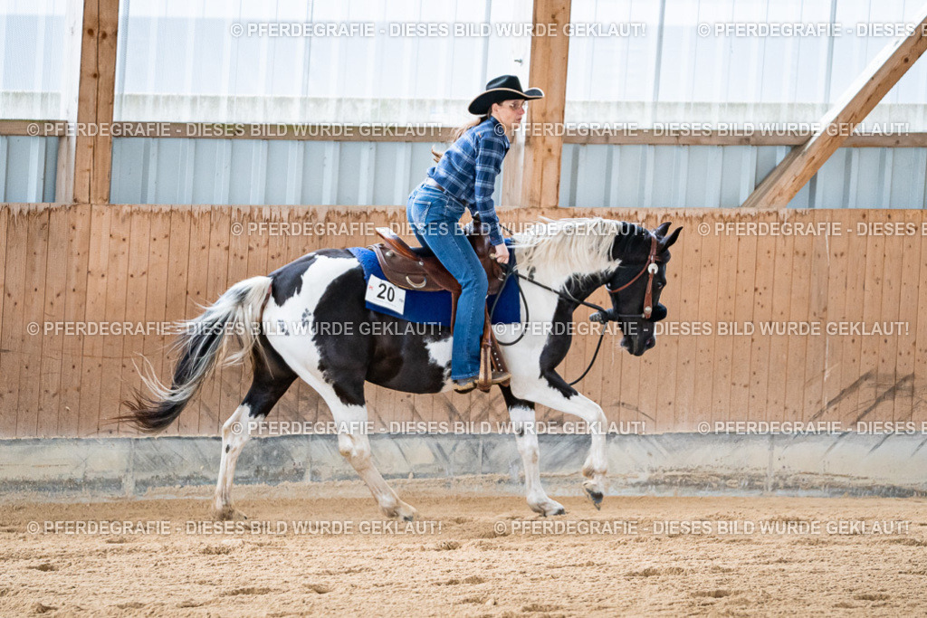 DSC07994 | Pferdegrafie