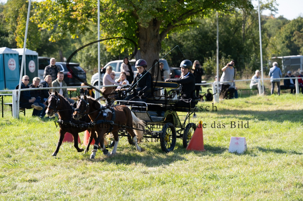 A7V04387 | Pferdefotograf