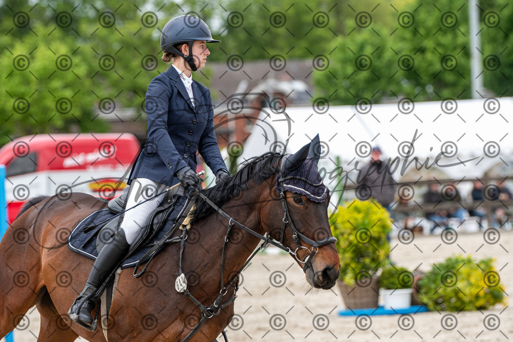 KPT_9994 | andre_photographic