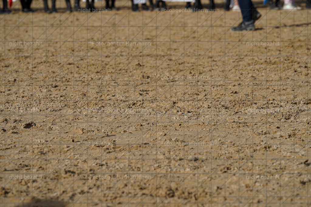 20240825-FAH00647 | Turnierbilder, Reitsportfotos, LAPO, Landesponyturnier, Turnierfotografen Bayern