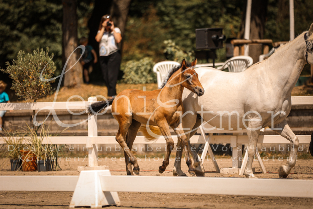 02.DoSR00151 | Leoni Ertmer Photography - Realisiert mit Pictrs.com