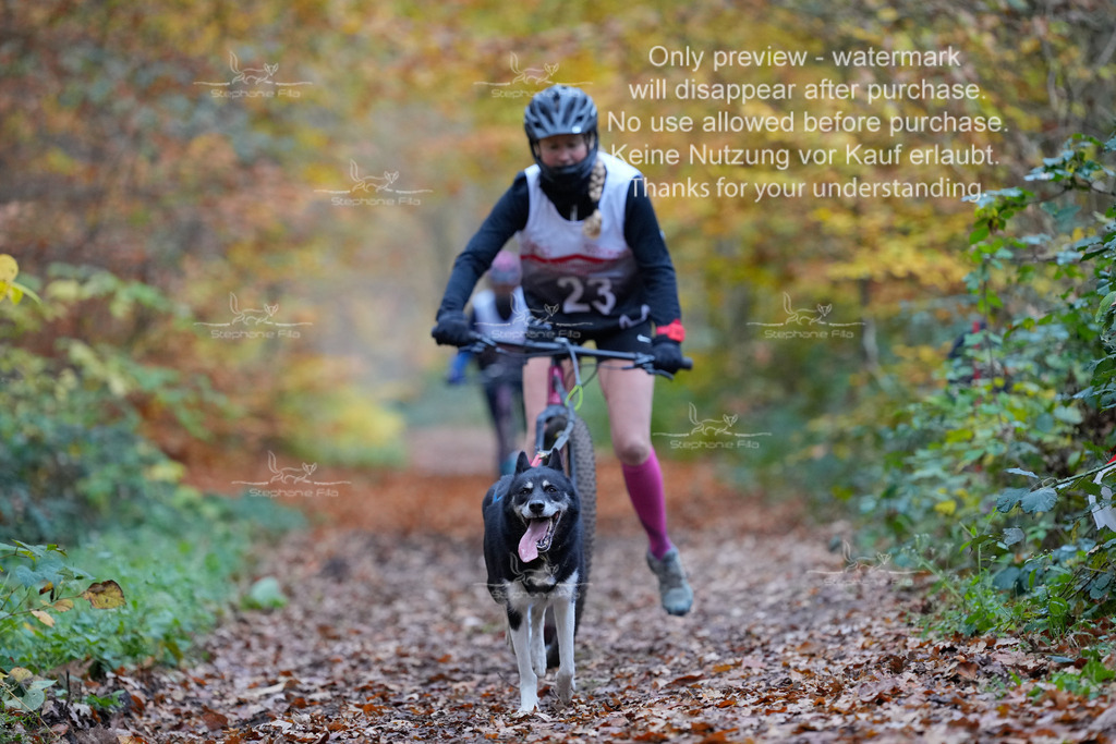Scooter_So-73 | stephaniefillaphotographie - Realisiert mit Pictrs.com