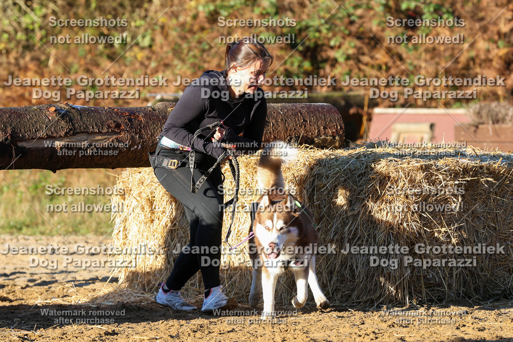 Dog Paparazzi - Strongdog 10-25-969 | Dog Paparazzi Jeanette Grottendiek Fotografie & Videografie - Realisiert mit Pictrs.com