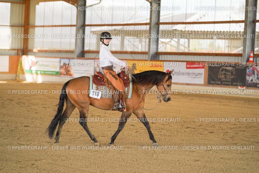 DSC07291 | Pferdegrafie