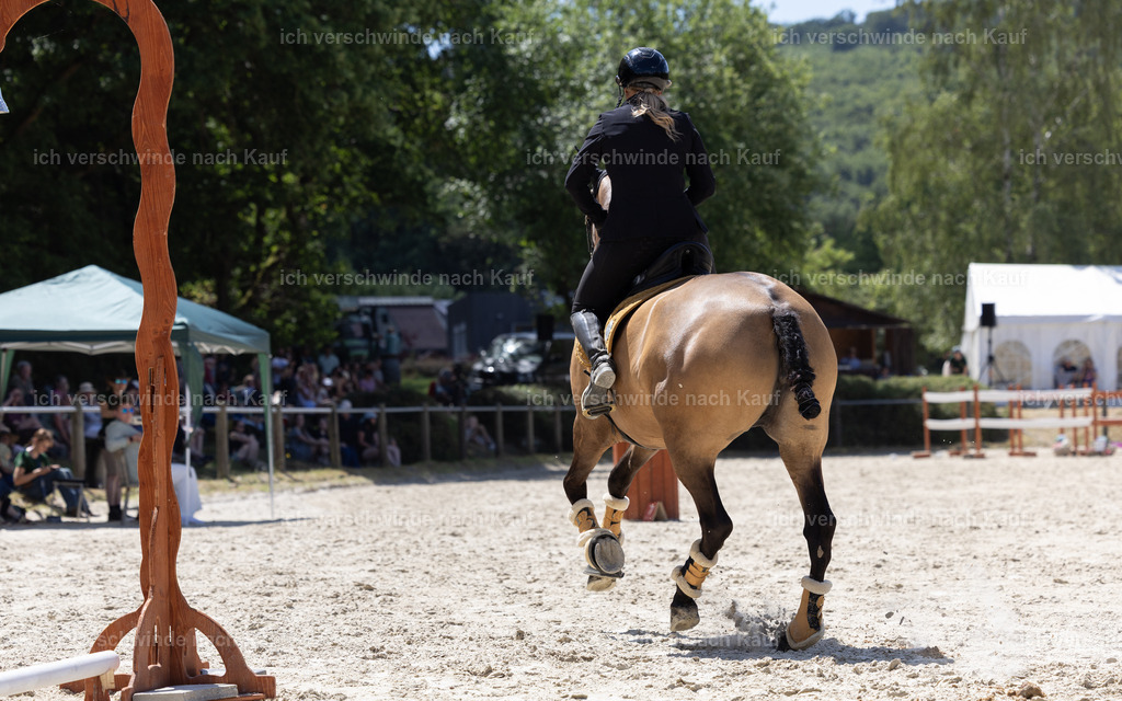 WM_Speed_36_KerstinBernhardt-9 | working equitationturnier fotograf videograf stoibphotography marixx film working equitation deutschland reitsport turnierfotografie eventfotografie equestrian events