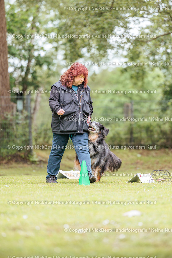 RO-Blumenthal-2026-Nickbest-Hundefotografie-1851 | Dein Hund! Dein Moment! Deine Erinnerungen! Hundefotografie in Bremen Blumenthal. Ich fange die besonderen Momente deines Vierbeiners ein – ob Indoor mit Blitzanlage oder in der freien Natur. Sicher dir dein Moment und dein Termin für eure Erinnerungen.