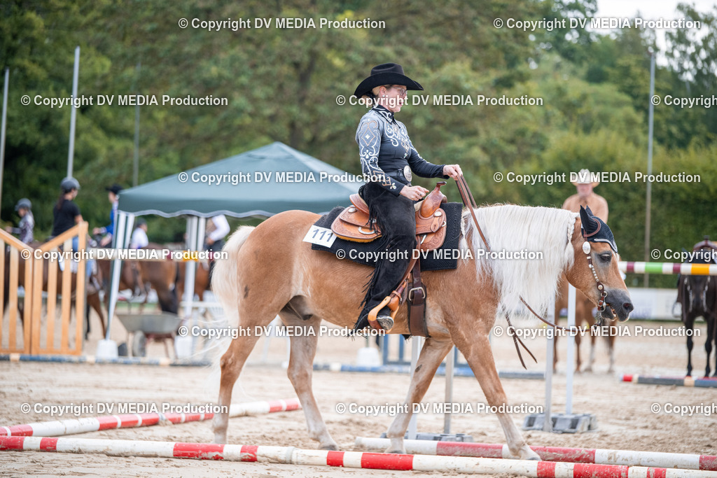 ZS3_4784 | dv-media-shop - Realisiert mit Pictrs.com