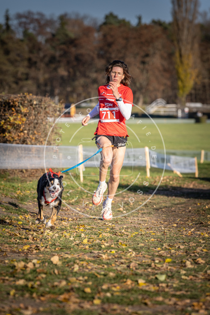 CaniXpix_DV3A1633 | Hundefotografie, Tierfotograf, Pfotenfotografie, Fotoshooting Hund, Hunde Portrait, Hundesport, Hundeportraits, Heideshooting, Hunde, Sportfotograf, Hundefotograf, Turnierhundsport, THS,  - Realisiert mit Pictrs.com