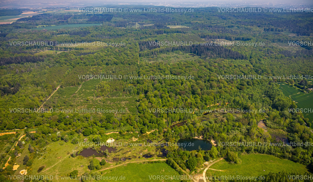 Swisttal240501627Kottenforst | Luftbild, Kottenforst Waldgebiet, Teiche Kiesgrube Dünstekoven Landschaftsschutzgebiet, Naturschutzgebiet Waldville mit Fernsicht, Dünstekoven, Swisttal, Rheinland, Nordrhein-Westfalen, Deutschland