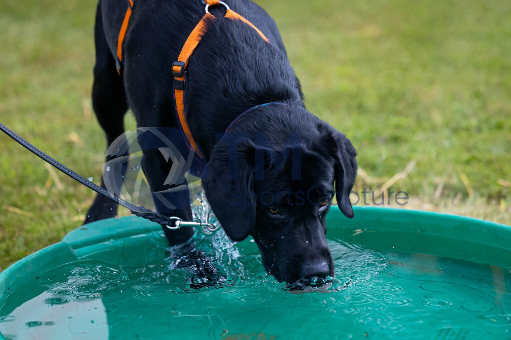 TP-20240815-0034 | Copyright: Trainproduction / Matthias Trinkl