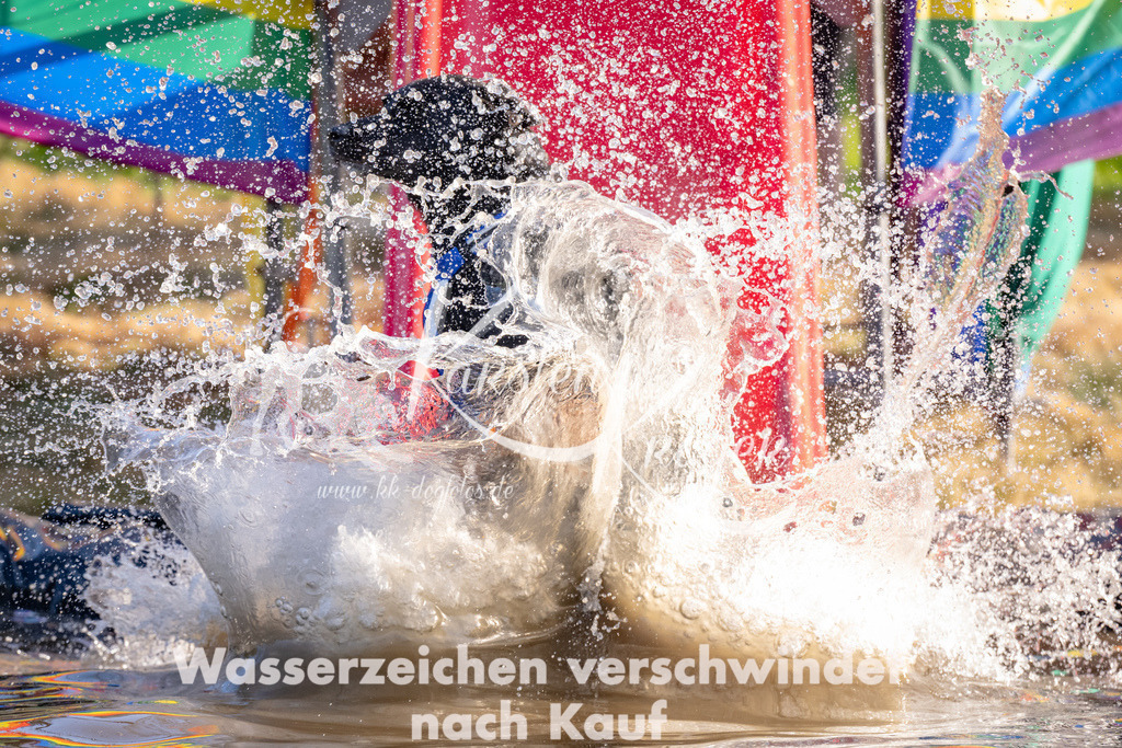 1746_ZZ92167 | kk-dogfotos