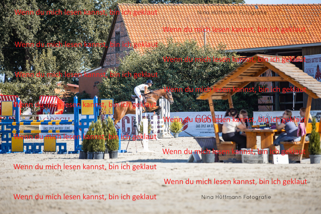 BK1A7272 | Turnierbilder Turnierfotos Nina Hüffmann Turnierfotografie Pferdefotografie Tierzeichnung Haustierzeichnung Pferdezeichnung Hundezeichnung Videograf  - Realisiert mit Pictrs.com