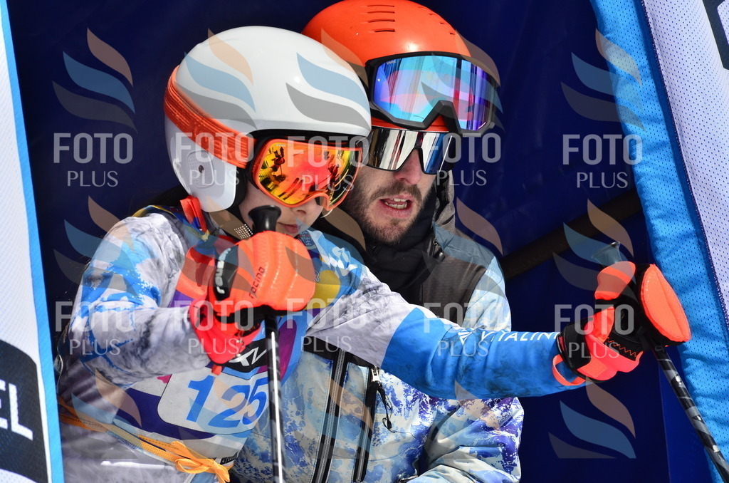 _ELE0774 | holidayphoto