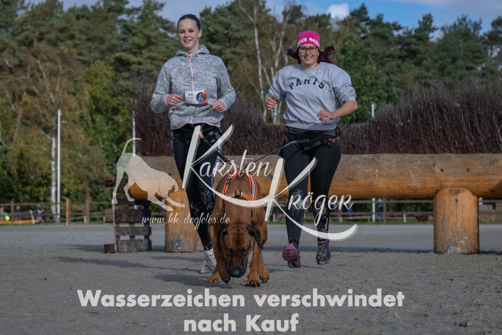 1113-93912 | kk-dogfotos