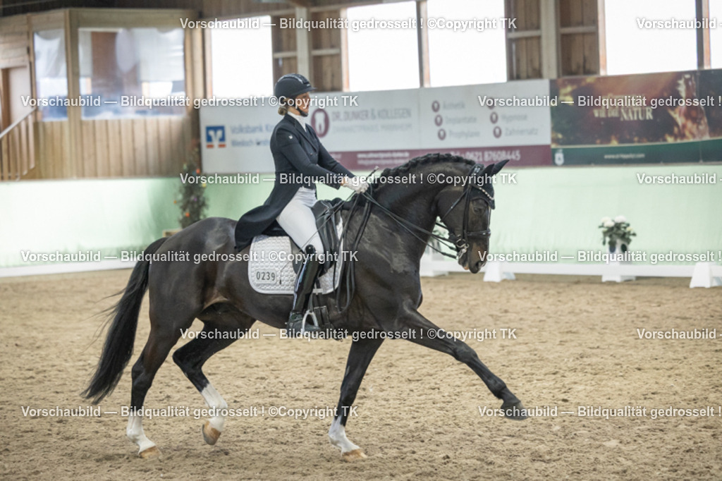 _D5A6916 | Emotionale Pferde- & People-Fotografie rund um Heidelberg, Leimen & Umgebung. Natürliche Fotos von Pferd, Mensch & Familie. Jetzt Termin sichern!