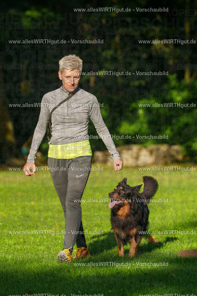 THS_Turnier_27-09-2026-allesWIRTHgut_Tierfotografie-7R505351 | Professionelle Tierfotografie in Mönchengladbach von Daniel Wirth (allesWIRTHgut). Liebevolle & natürliche Bilder von Hunden & Katzen für unvergessliche Erinnerungen.