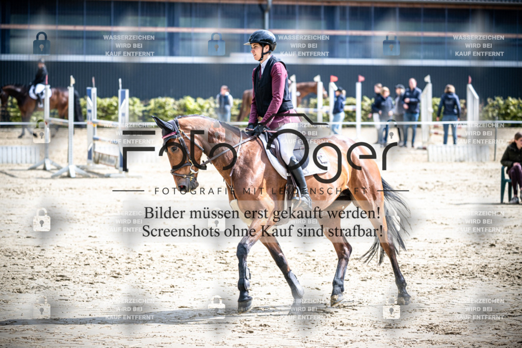 DOS_2127 | Reitturnier Lüdinghausen - Realisiert mit Pictrs.com