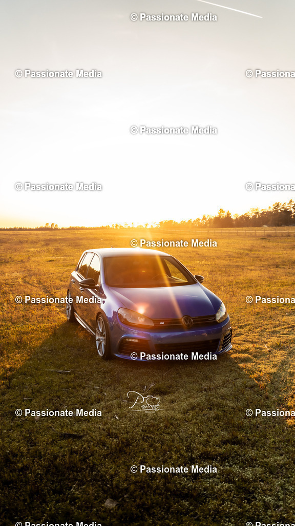 DSC05224 | Passionate Media, dein Fotograf aus Brandenburg, Märkisch Oderland, im Bereich Motorsport, Autos und Motorräder sowie Events und auch Hunde. Shootings oder auch Eventbegleitungen können bei mir gebucht we