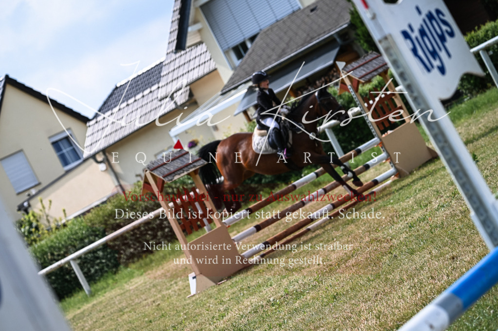 DSC_8528 | Pferde- und Turnierfotografie in Westsachsen. Pferdeportraits, Auftragszeichnungen und intuitive Kunst.