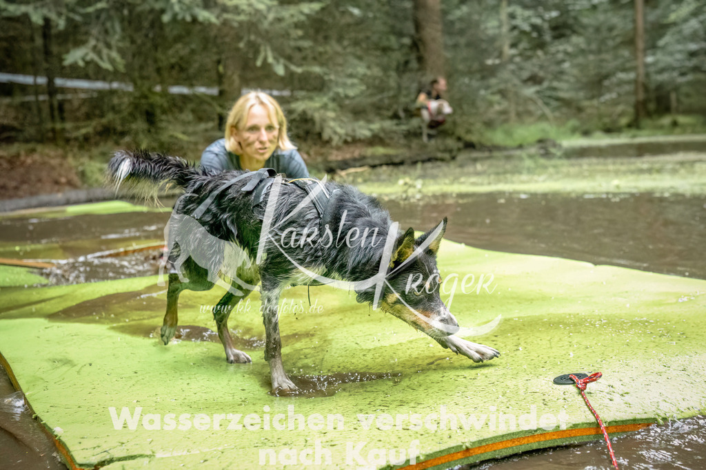 1448_ZZ93895-Bearbeitet | kk-dogfotos