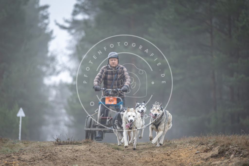 Pfotenfotografie_DV3A0542 | Hundefotografie, Tierfotograf, Pfotenfotografie, Fotoshooting Hund, Hunde Portrait, Hundesport, Hundeportraits, Heideshooting, Hunde, Sportfotograf, Hundefotograf, Turnierhundsport, THS,  - Realisiert mit Pictrs.com
