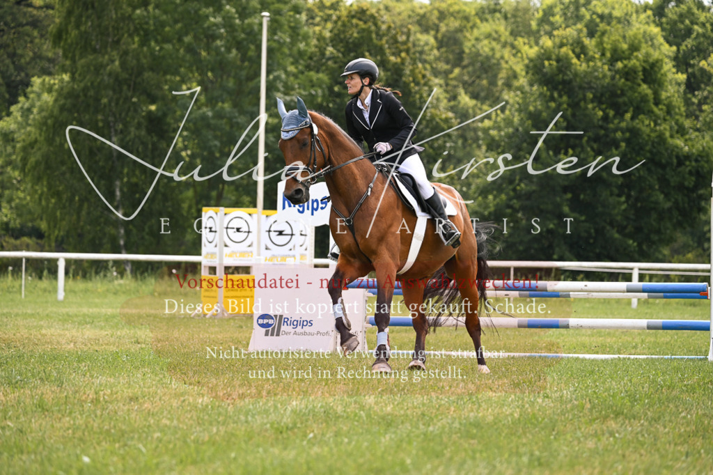 DSC_9161 | Pferde- und Turnierfotografie in Westsachsen. Pferdeportraits, Auftragszeichnungen und intuitive Kunst.