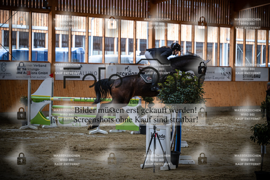 DOS_2274 | Entdecke hochwertige Reitturnierfotos von Foto Oger. Professionell, emotional und authentisch – jetzt Lieblingsmomente im Shop bestellen.Deutschlandweite Turnierfotografie. - Realisiert mit Pictrs.com