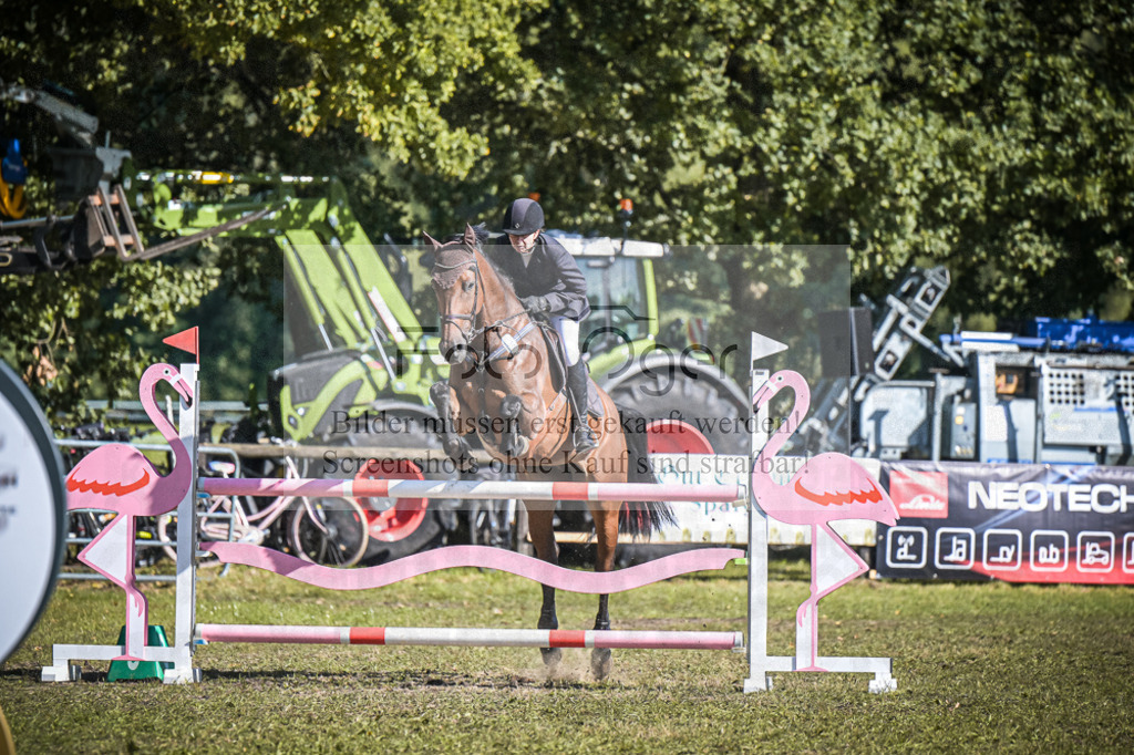 DOS_0544 | Entdecke hochwertige Reitturnierfotos von Foto Oger. Professionell, emotional und authentisch – jetzt Lieblingsmomente im Shop bestellen.Deutschlandweite Turnierfotografie. - Realisiert mit Pictrs.com