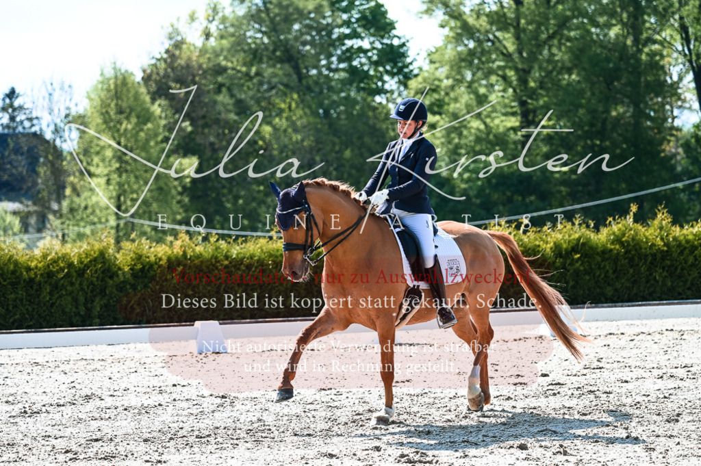20230513_JK-Röhrsdorf-10-0283 | Pferde- und Turnierfotografie in Westsachsen. Pferdeportraits, Auftragszeichnungen und intuitive Kunst.