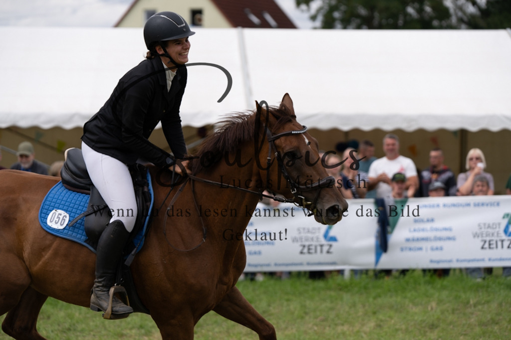 A7V05903 | Pferdefotograf