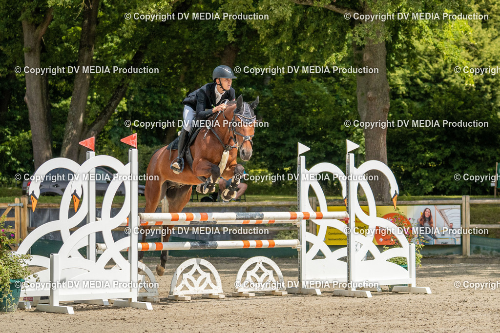 Hessische Tag 1-1385 | dv-media-shop - Realisiert mit Pictrs.com