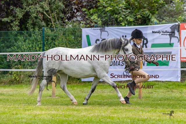 IG WELSH M 2024-123 | mandyhollmannphotographie