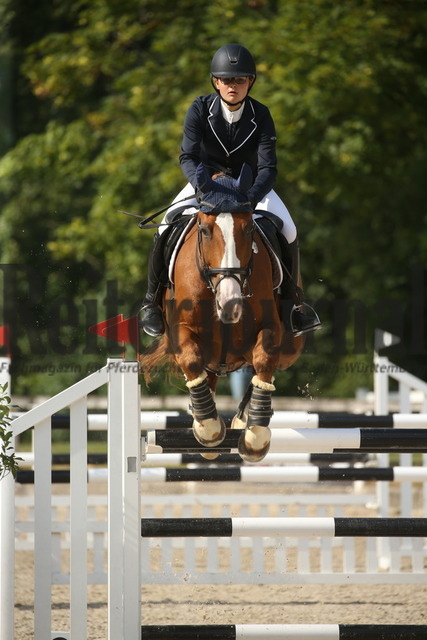 Waiblingen_2022_Stil-Springen_Kl.M_Qualifikation_Nürnberger-Burgpokal_Stafanie Vollmer_Claus 27 (4) | Alle Fotos der Reiterjournal Fotografin Doris Matthaes im Reiterjournal Online-Fotoshop. - Realisiert mit Pictrs.com