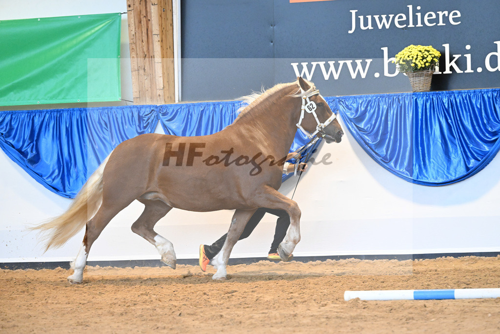 Kat-Nr. 62 Havanna_Mair_53220188 | hf-fotografie - Realizzato con Pictrs.com