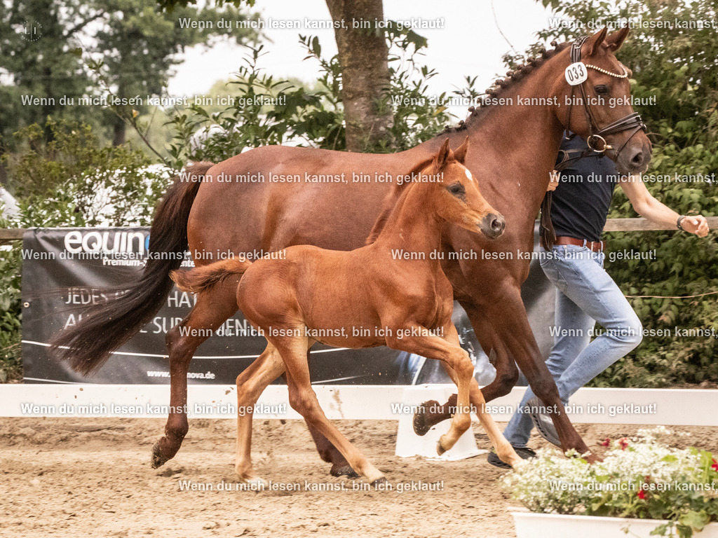 A10I2583 15.56.13 | photographylinaismer - Realisiert mit Pictrs.com