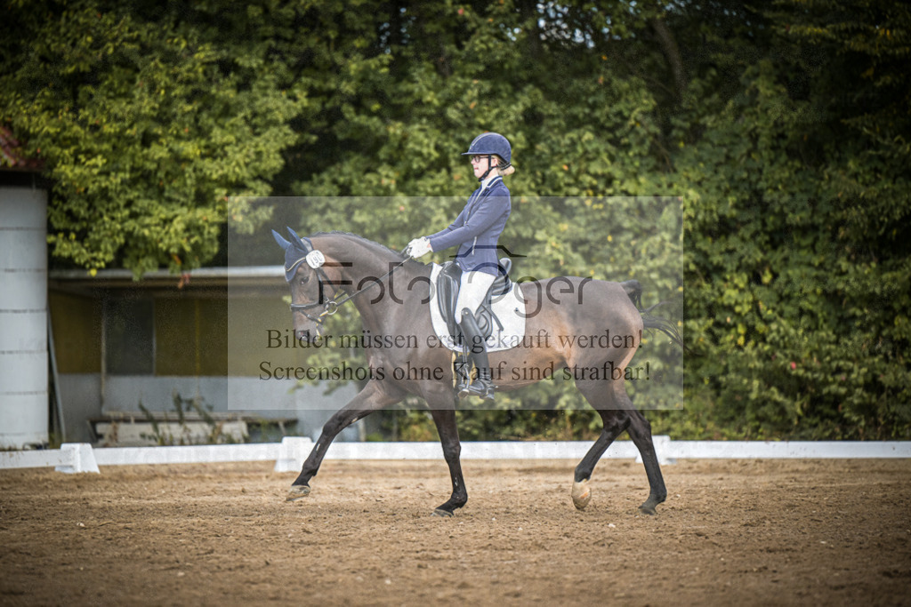 DOS_4512 | Entdecke hochwertige Reitturnierfotos von Foto Oger. Professionell, emotional und authentisch – jetzt Lieblingsmomente im Shop bestellen.Deutschlandweite Turnierfotografie. - Realisiert mit Pictrs.com