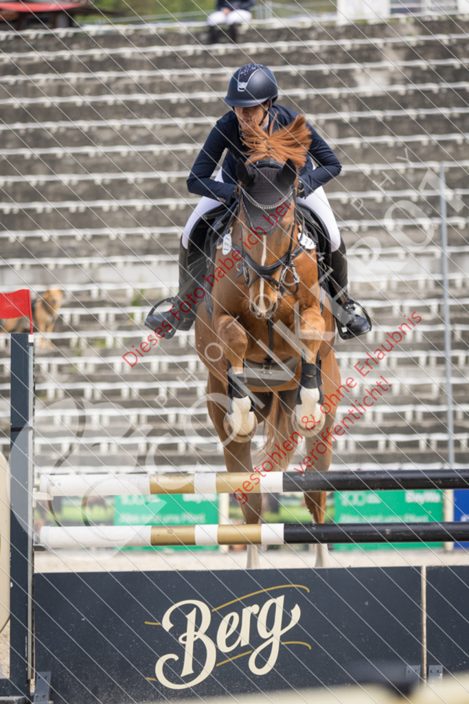 IMG_4736 | Sport-, Event- und Tierfotos in Profiqualität. Einfach auswählen, bestellen und herunterladen. Dein Moment – perfekt festgehalten.