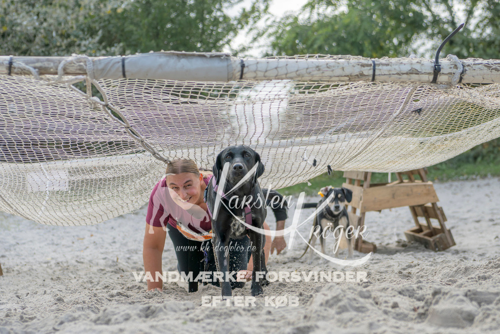 1237_ZZ92165 | kk-dogfotos