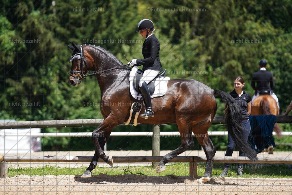 20240705-FAH03424 | Turnierbilder von Grafing, Reitsportbilder, Turnierfotos, Turnierfotografen Bayern, Pferdefotograf, Fotoagentur Herrmann