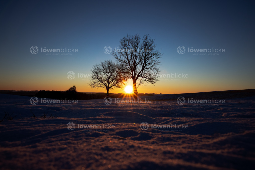 Oberböhringen bei Sonnenaufgang | löwenblicke | shop