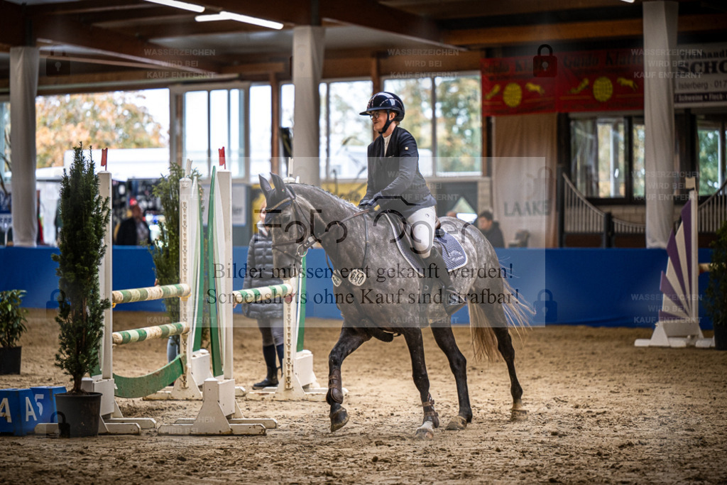DOS_1292 | Entdecke hochwertige Reitturnierfotos von Foto Oger. Professionell, emotional und authentisch – jetzt Lieblingsmomente im Shop bestellen. - Realisiert mit Pictrs.com