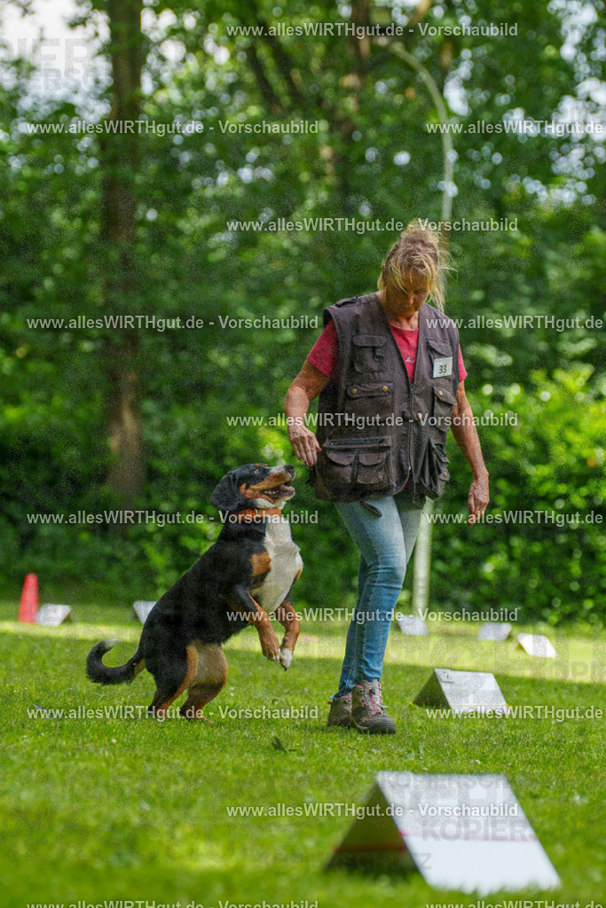 @allesWIRTHgut_Tierfotografie - www.allesWIRTHgut.de - 7R504636 | Professionelle Tierfotografie in Mönchengladbach von Daniel Wirth (allesWIRTHgut). Liebevolle & natürliche Bilder von Hunden & Katzen für unvergessliche Erinnerungen.