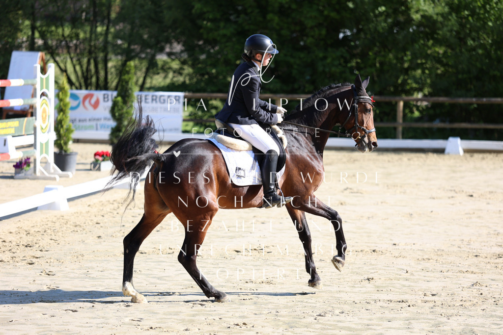 IMGT2704 | pl-fotografie