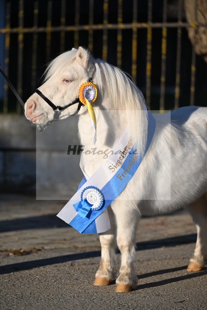 Kat-Nr. 14 Elmhorst Irish Cream v. Elmhorst Irish Coffee_Elmer_49250905 | hf-fotografie - Realisiert mit Pictrs.com